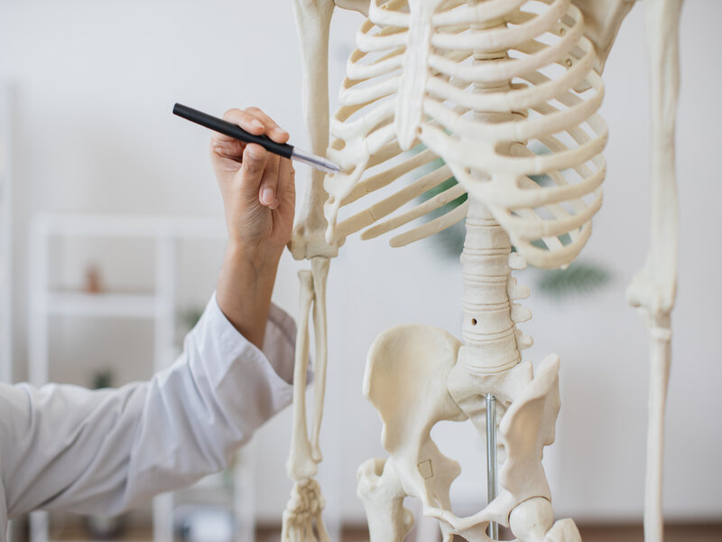 densitometrie osseuse osteoporose radiologie